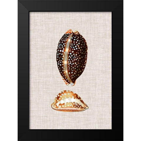 Antique Shells on Linen IV Black Modern Wood Framed Art Print by Vision Studio