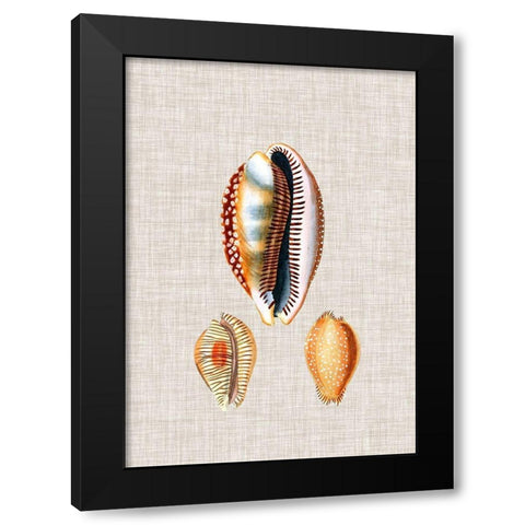 Antique Shells on Linen V Black Modern Wood Framed Art Print with Double Matting by Vision Studio