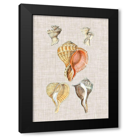 Antique Shells on Linen VI Black Modern Wood Framed Art Print with Double Matting by Vision Studio