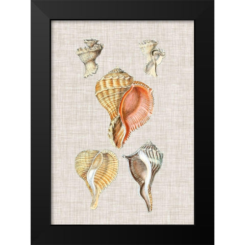 Antique Shells on Linen VI Black Modern Wood Framed Art Print by Vision Studio