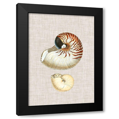 Antique Shells on Linen VII Black Modern Wood Framed Art Print with Double Matting by Vision Studio