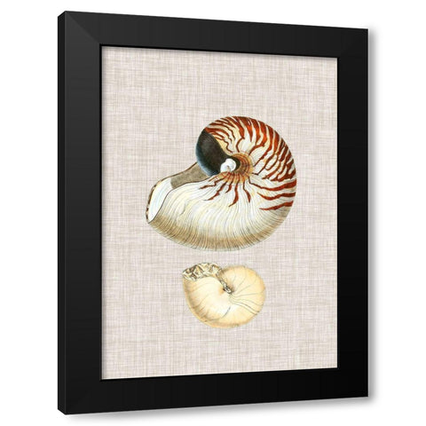 Antique Shells on Linen VII Black Modern Wood Framed Art Print by Vision Studio