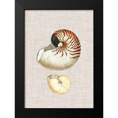 Antique Shells on Linen VII Black Modern Wood Framed Art Print by Vision Studio