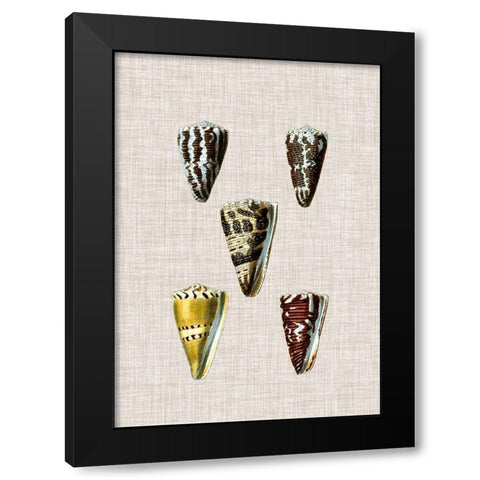 Antique Shells on Linen VIII Black Modern Wood Framed Art Print with Double Matting by Vision Studio