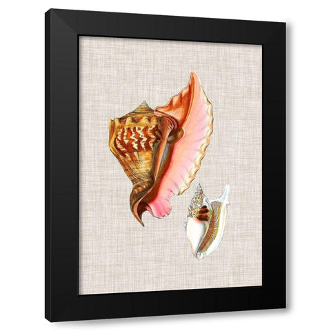 Antique Shells on Linen IX Black Modern Wood Framed Art Print with Double Matting by Vision Studio