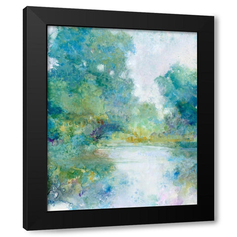 Tranquil Stream I Black Modern Wood Framed Art Print with Double Matting by OToole, Tim