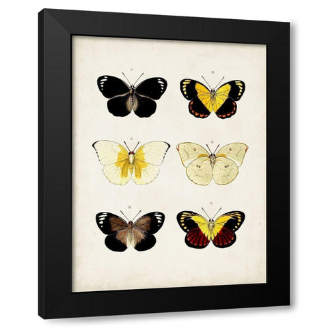 Vintage Butterflies I Black Modern Wood Framed Art Print with Double Matting by Vision Studio