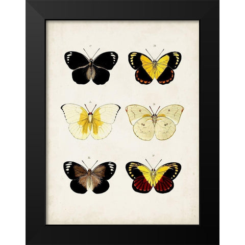 Vintage Butterflies I Black Modern Wood Framed Art Print by Vision Studio