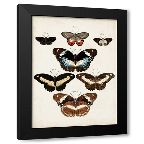 Vintage Butterflies II Black Modern Wood Framed Art Print with Double Matting by Vision Studio