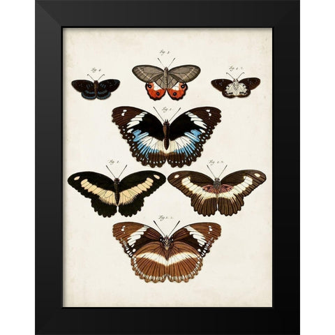 Vintage Butterflies II Black Modern Wood Framed Art Print by Vision Studio