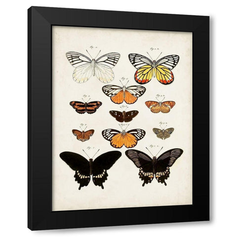 Vintage Butterflies III Black Modern Wood Framed Art Print with Double Matting by Vision Studio