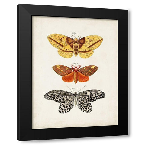 Vintage Butterflies IV Black Modern Wood Framed Art Print with Double Matting by Vision Studio