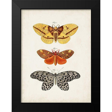 Vintage Butterflies IV Black Modern Wood Framed Art Print by Vision Studio