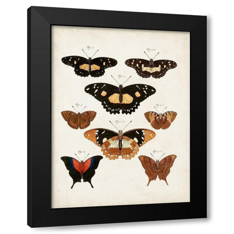 Vintage Butterflies V Black Modern Wood Framed Art Print with Double Matting by Vision Studio