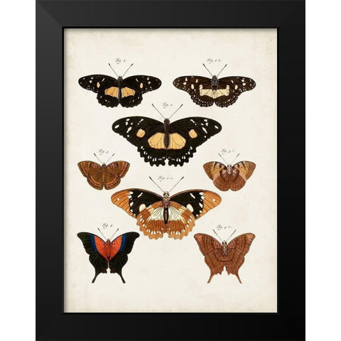 Vintage Butterflies V Black Modern Wood Framed Art Print by Vision Studio