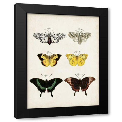 Vintage Butterflies VI Black Modern Wood Framed Art Print with Double Matting by Vision Studio