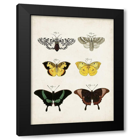 Vintage Butterflies VI Black Modern Wood Framed Art Print by Vision Studio