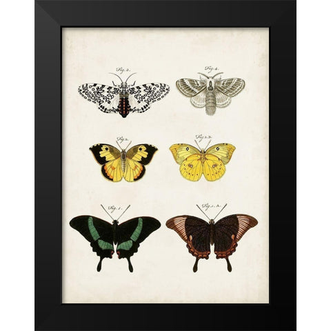 Vintage Butterflies VI Black Modern Wood Framed Art Print by Vision Studio