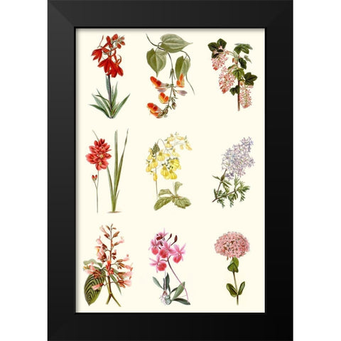 Botanical Array Chart Black Modern Wood Framed Art Print by Vision Studio