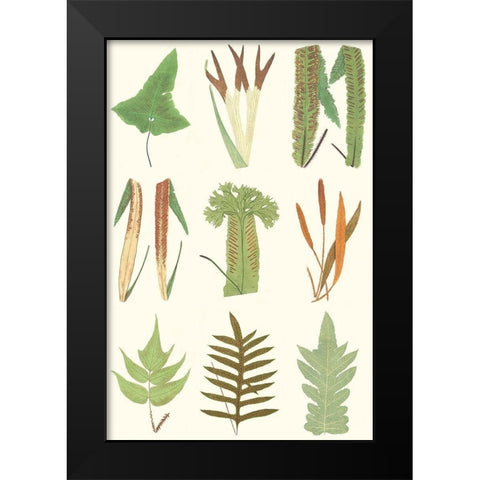 Antique Fern Chart Black Modern Wood Framed Art Print by Vision Studio