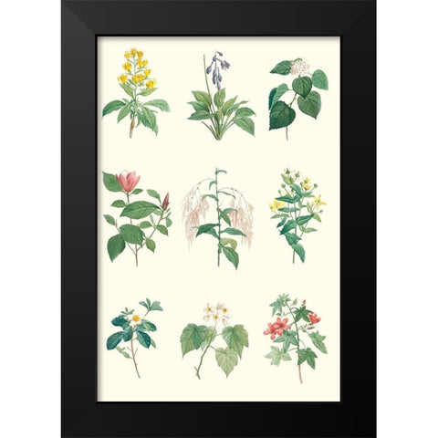 Soft Botanical Chart Black Modern Wood Framed Art Print by Vision Studio