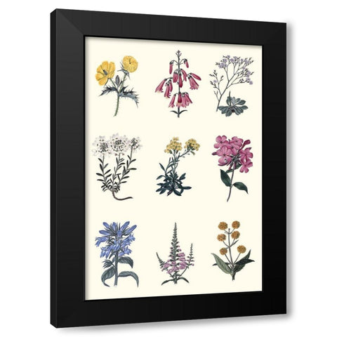 Antique Floral Chart Black Modern Wood Framed Art Print by Vision Studio