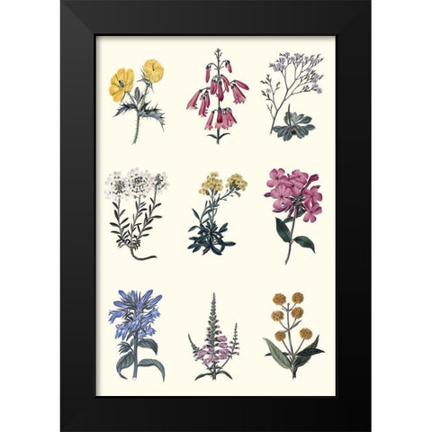 Antique Floral Chart Black Modern Wood Framed Art Print by Vision Studio