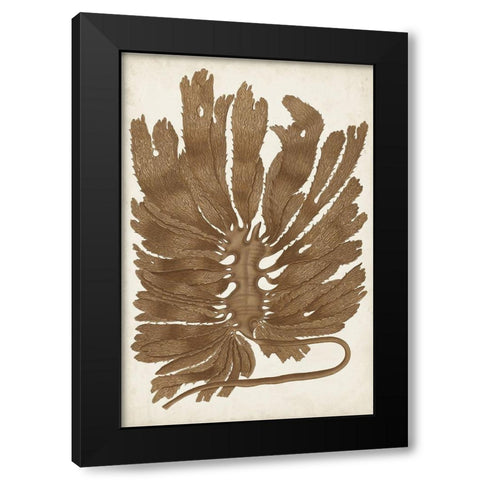 Sepia Seaweed I Black Modern Wood Framed Art Print by Vision Studio