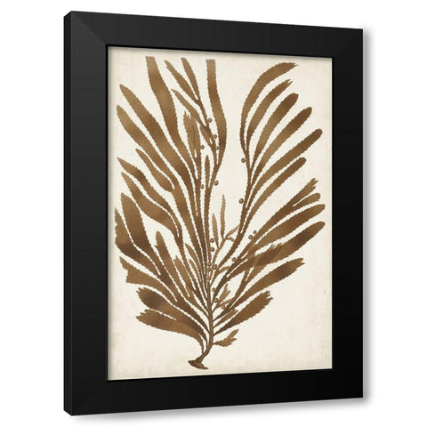 Sepia Seaweed II Black Modern Wood Framed Art Print with Double Matting by Vision Studio