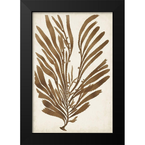 Sepia Seaweed II Black Modern Wood Framed Art Print by Vision Studio