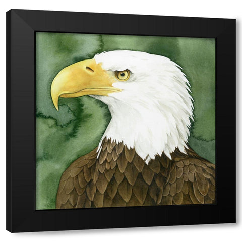 Bald Eagle Stare II Black Modern Wood Framed Art Print by Popp, Grace