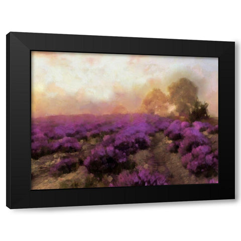 Purple Countryside I Black Modern Wood Framed Art Print with Double Matting by Saunders, Alonzo