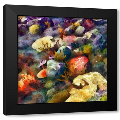 Sea Life III Black Modern Wood Framed Art Print with Double Matting by Saunders, Alonzo