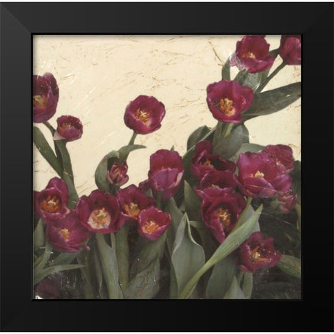 Spring Tulips II Black Modern Wood Framed Art Print by Meagher, Megan