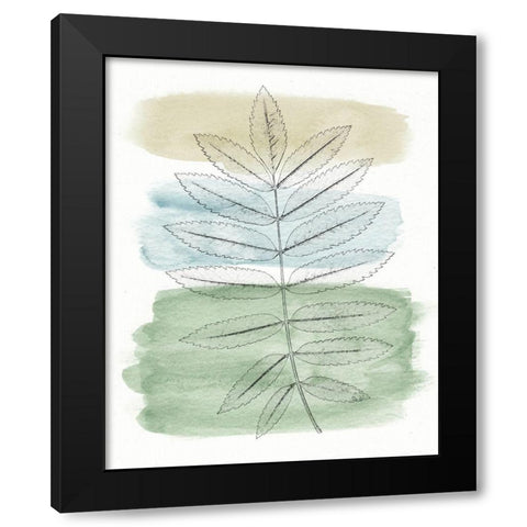 Spring Branch II Black Modern Wood Framed Art Print by Saunders, Alonzo
