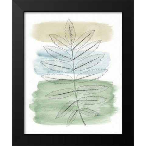 Spring Branch II Black Modern Wood Framed Art Print by Saunders, Alonzo