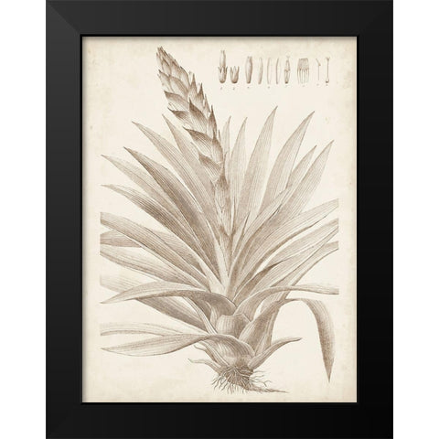 Sepia Exotic Plants III Black Modern Wood Framed Art Print by Vision Studio