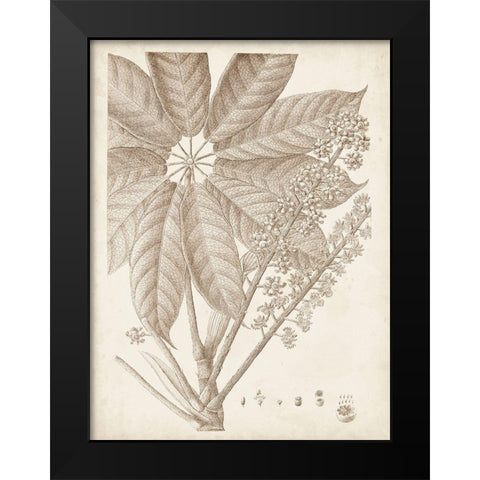 Sepia Exotic Plants V Black Modern Wood Framed Art Print by Vision Studio