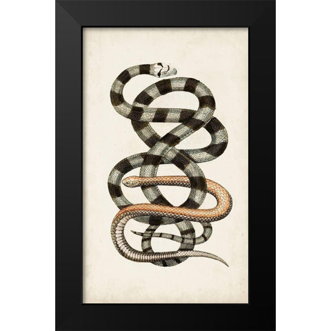 Antique Snakes I Black Modern Wood Framed Art Print by Vision Studio