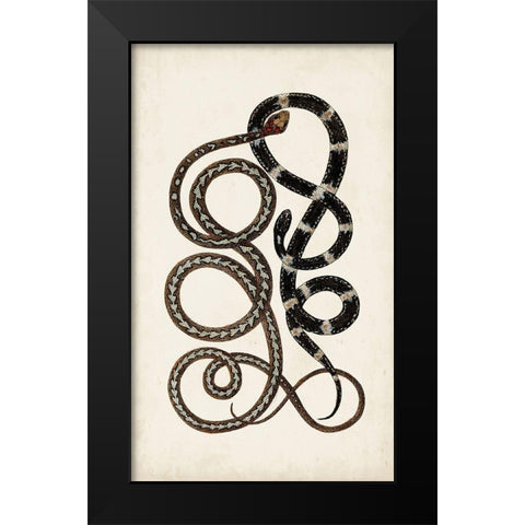 Antique Snakes II Black Modern Wood Framed Art Print by Vision Studio