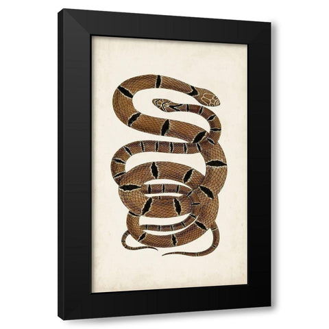 Antique Snakes III Black Modern Wood Framed Art Print with Double Matting by Vision Studio