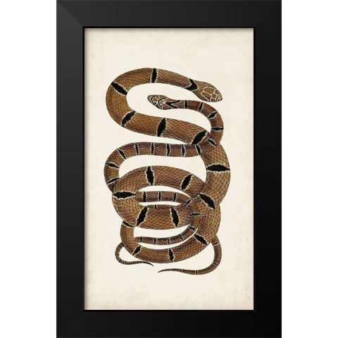 Antique Snakes III Black Modern Wood Framed Art Print by Vision Studio