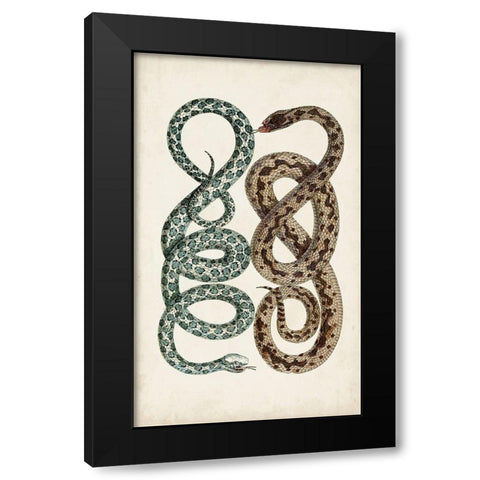 Antique Snakes IV Black Modern Wood Framed Art Print with Double Matting by Vision Studio