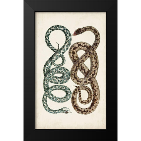 Antique Snakes IV Black Modern Wood Framed Art Print by Vision Studio