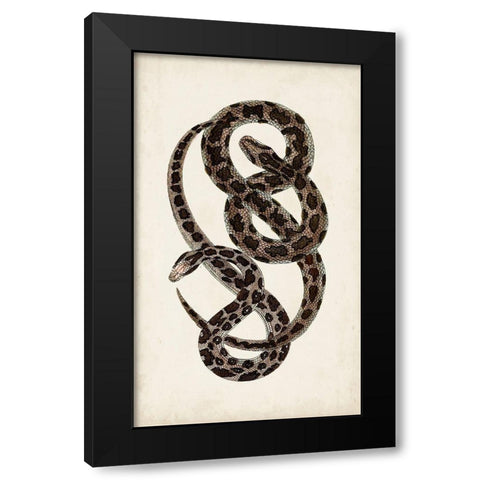 Antique Snakes V Black Modern Wood Framed Art Print with Double Matting by Vision Studio