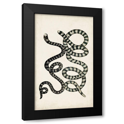 Antique Snakes VI Black Modern Wood Framed Art Print with Double Matting by Vision Studio