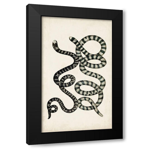 Antique Snakes VI Black Modern Wood Framed Art Print by Vision Studio
