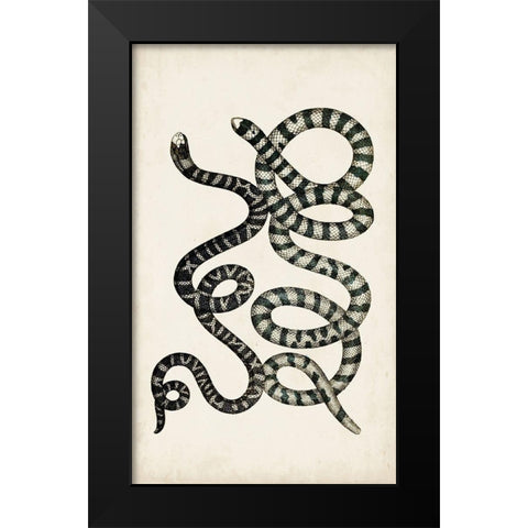 Antique Snakes VI Black Modern Wood Framed Art Print by Vision Studio