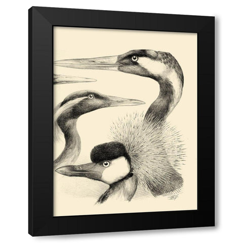 Waterbird Sketchbook I Black Modern Wood Framed Art Print by Vision Studio