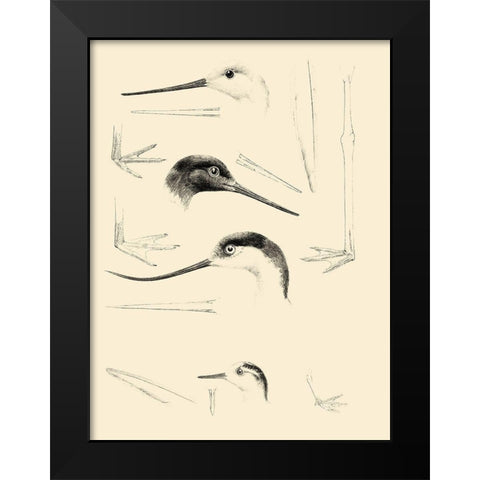 Waterbird Sketchbook V Black Modern Wood Framed Art Print by Vision Studio